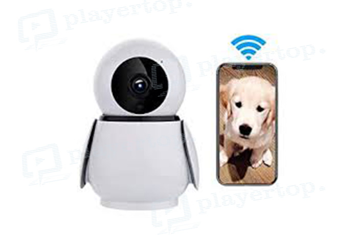 caméra de surveillance animaux